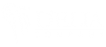 D'Elia Company